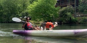 a dog and his owner kayaking down a river