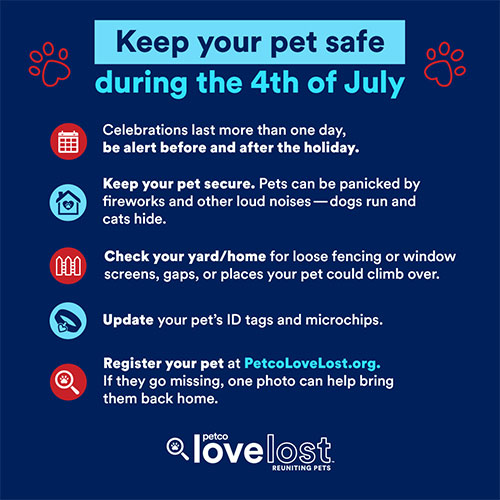 keep your pet safe during the 4th of july