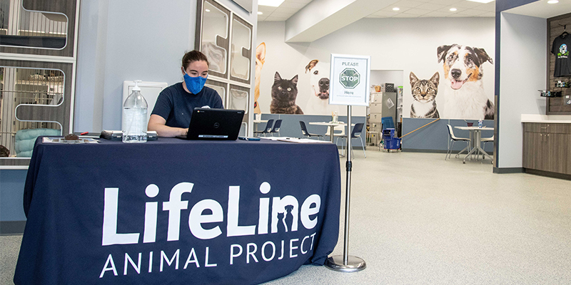 inside the community animal center lobby, a staff member sits at a desk with her mask on