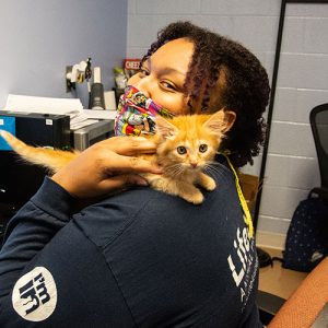 LineLine staff member holding small orange kitten on her shoulder