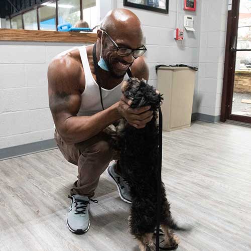 smiling man is reunited with his small furry dog