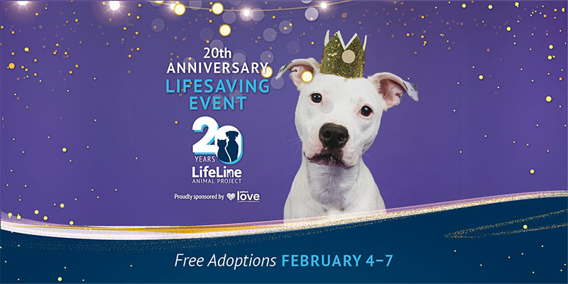 from Friday, February 4th through Monday, February 7th, adopt a pet for free!