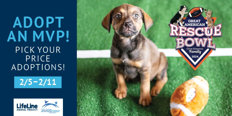 Great American Rescue Bowl Pick Your Price Adoptions