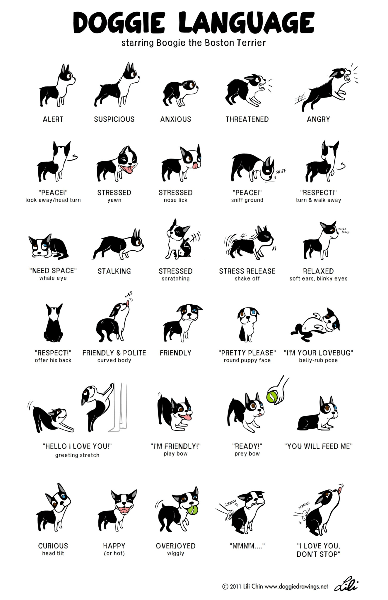 Understanding Animal Behavior: Teaching Kids Pet Safety Cues - LifeLine ...