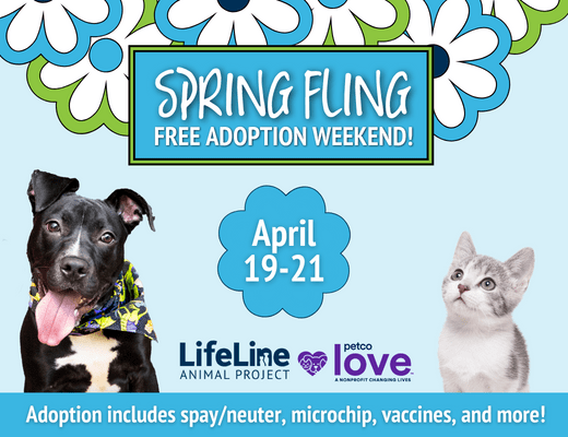 spring fling free adoption weekend 2024