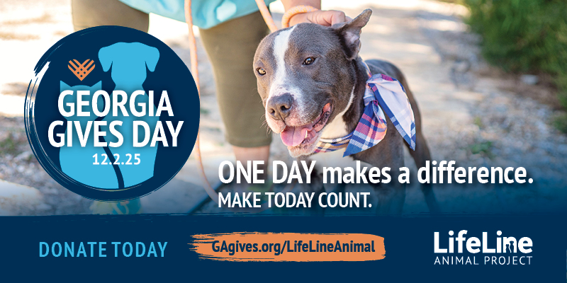 Georgia Gives Day 2025 on Giving Tuesday