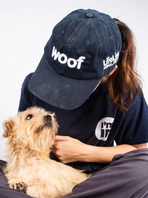 2020 09 14 Dogs in merch-05