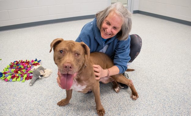 2022 03 07 Anniex2-1