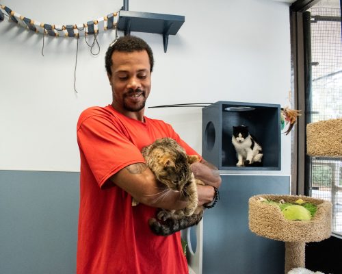 2022 10 13 Molly Weasley adoption-1