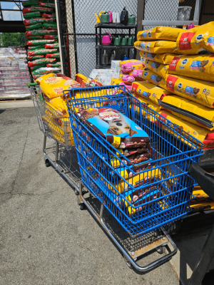 Supplies are at the ready to hand out at DeKalb County's monthly Food Pantry