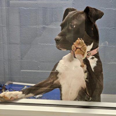 444166853_856165283222863_7698467979651291542_n