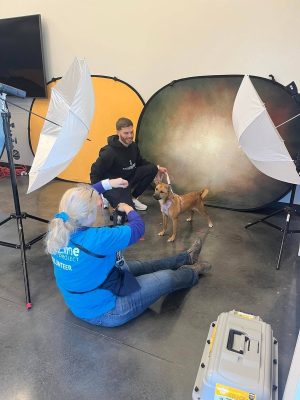 Photography volunteer, Marie, always captures our adoptable pets' loving and unique personalities.