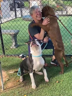 Andrea Seidl DCAS (1)