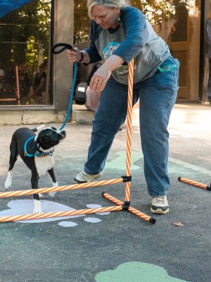 Behavior Program Manager, Sharon, leads a dog through agility exercises in a newly refurbished play yard, courtesy of Boehringer Ingelheim.