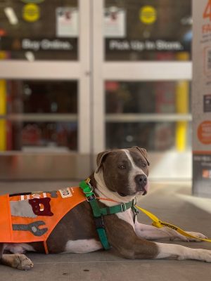 Dorito's Weekend Warrior outing included getting hired part time as a greeter at The Home Depot!.