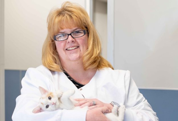 doctor brosman, LifeLine clinic director, holding a kitten