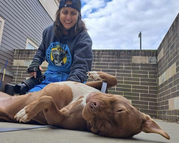 FC17D726-41DD-4BB1-A115-8C4F753DB2A9