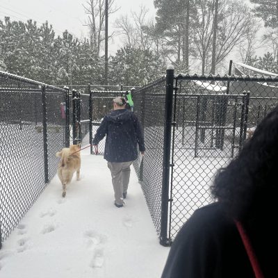 FCAS Snow 3