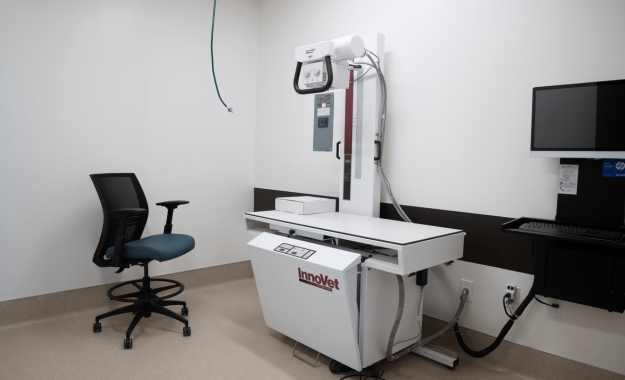 Fulton Ribbon Cutting-49-1200x800-9b9f185