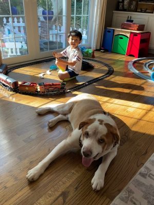 Gumbi and friend-900x1200-6a69283