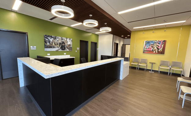 IMG_1609-1200x900-33e90ef