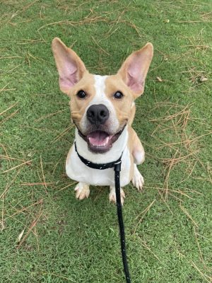 IMG_3832-900x1200-e1ce480