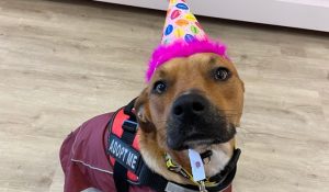 IMG_6670-1200x900-e339a72