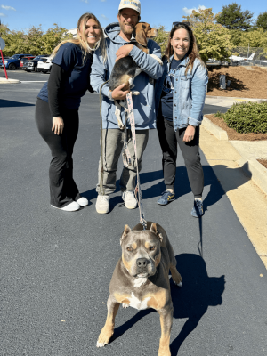 Pete the beagle's adoption day