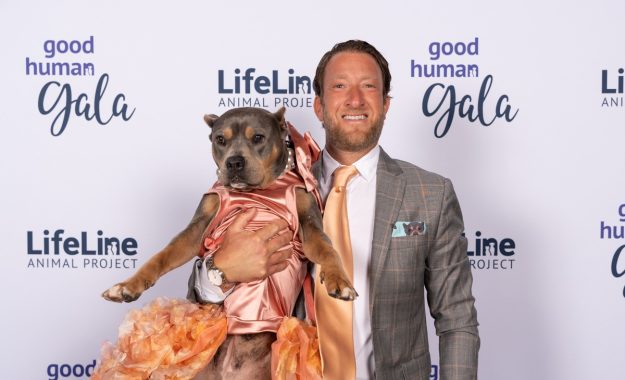 N1505432-1200x800-5b2df79