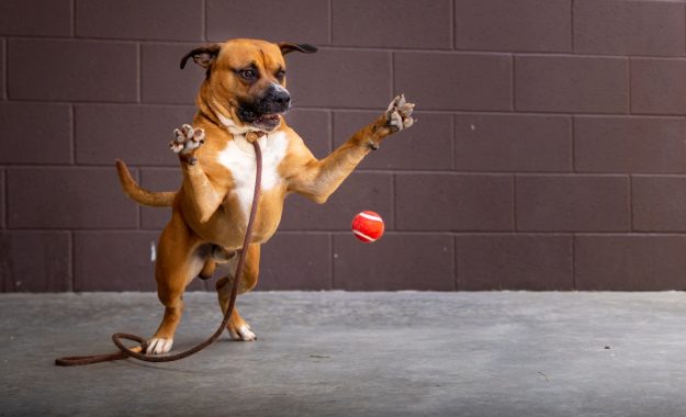 Parker-04929-1200x960-4134ff9