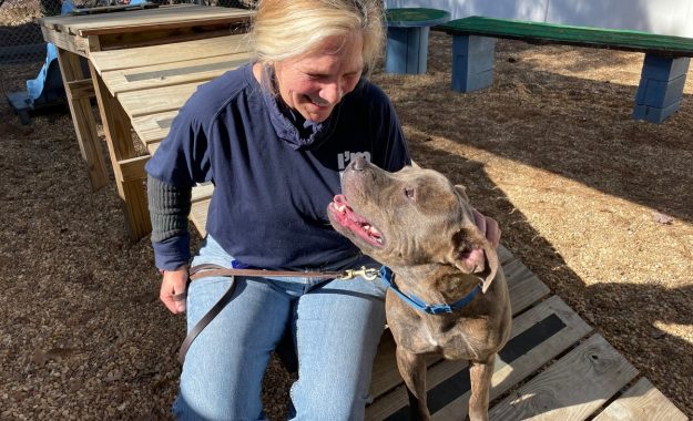 Sharon Eikey and Wishes