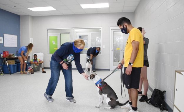 Sharons Training Class 1-1200x675-128554e