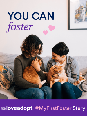 TypesOfFostering_Carousel1