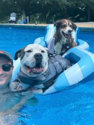 Adopted pup, Mario, now Willie, is making a splash in his new home.
