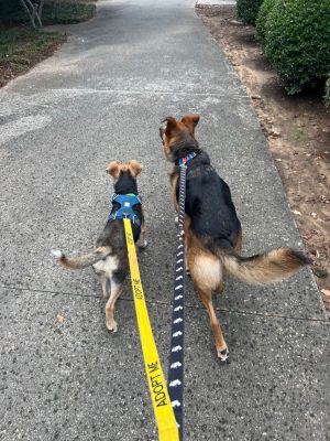 image5-1200x900-ac4a44d